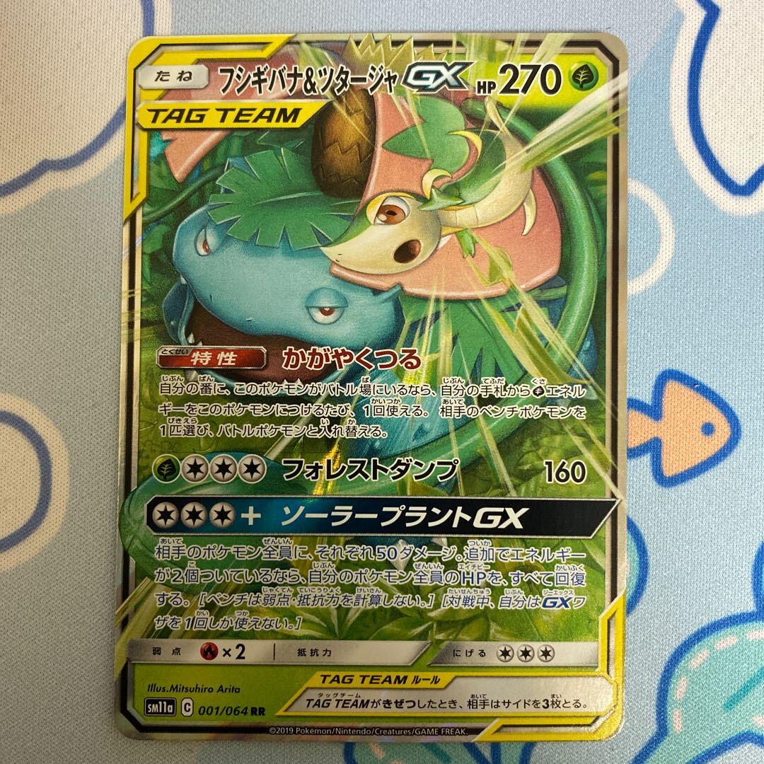 【BGS8】Venusaur＆SnivyGX