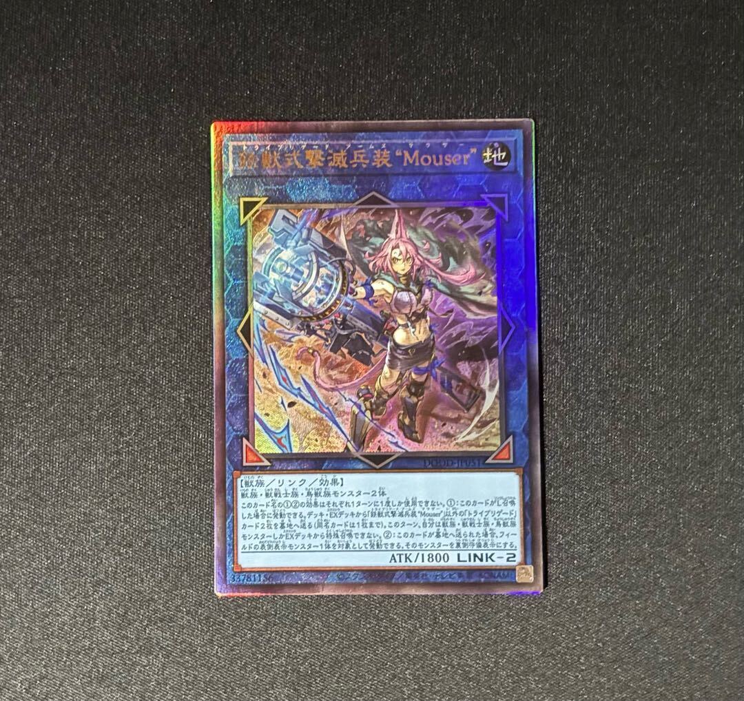 鉄獣式撃滅兵装“Mouser”