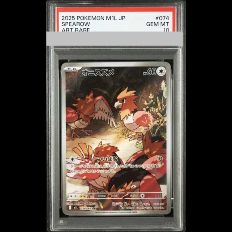 【PSA10】オニスズメ