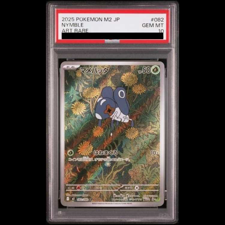 【PSA10】マメバッタ