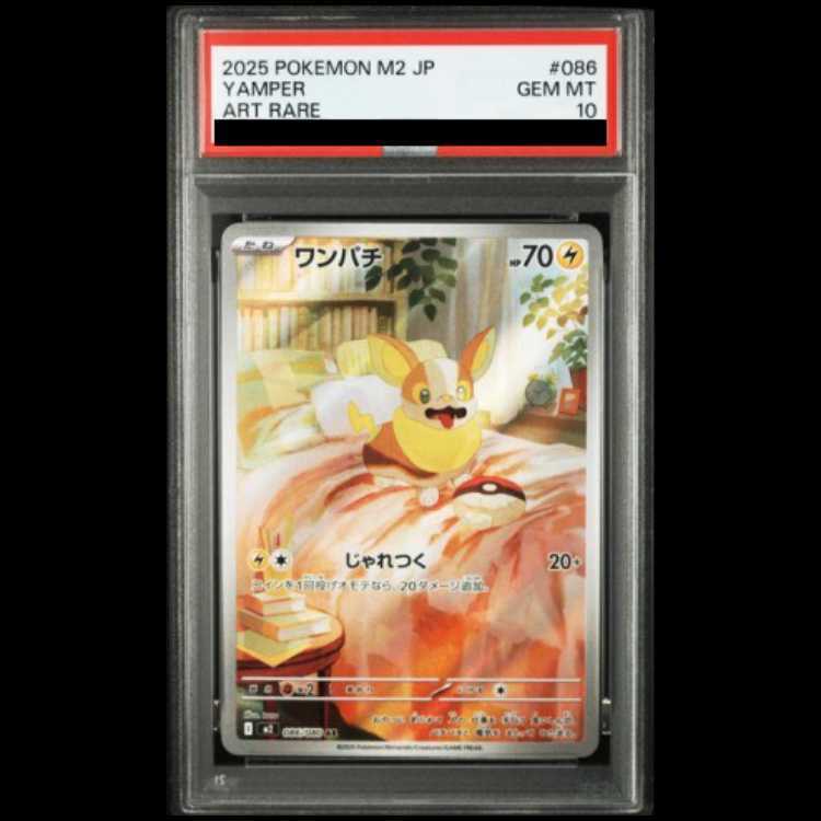 【PSA10】ワンパチ