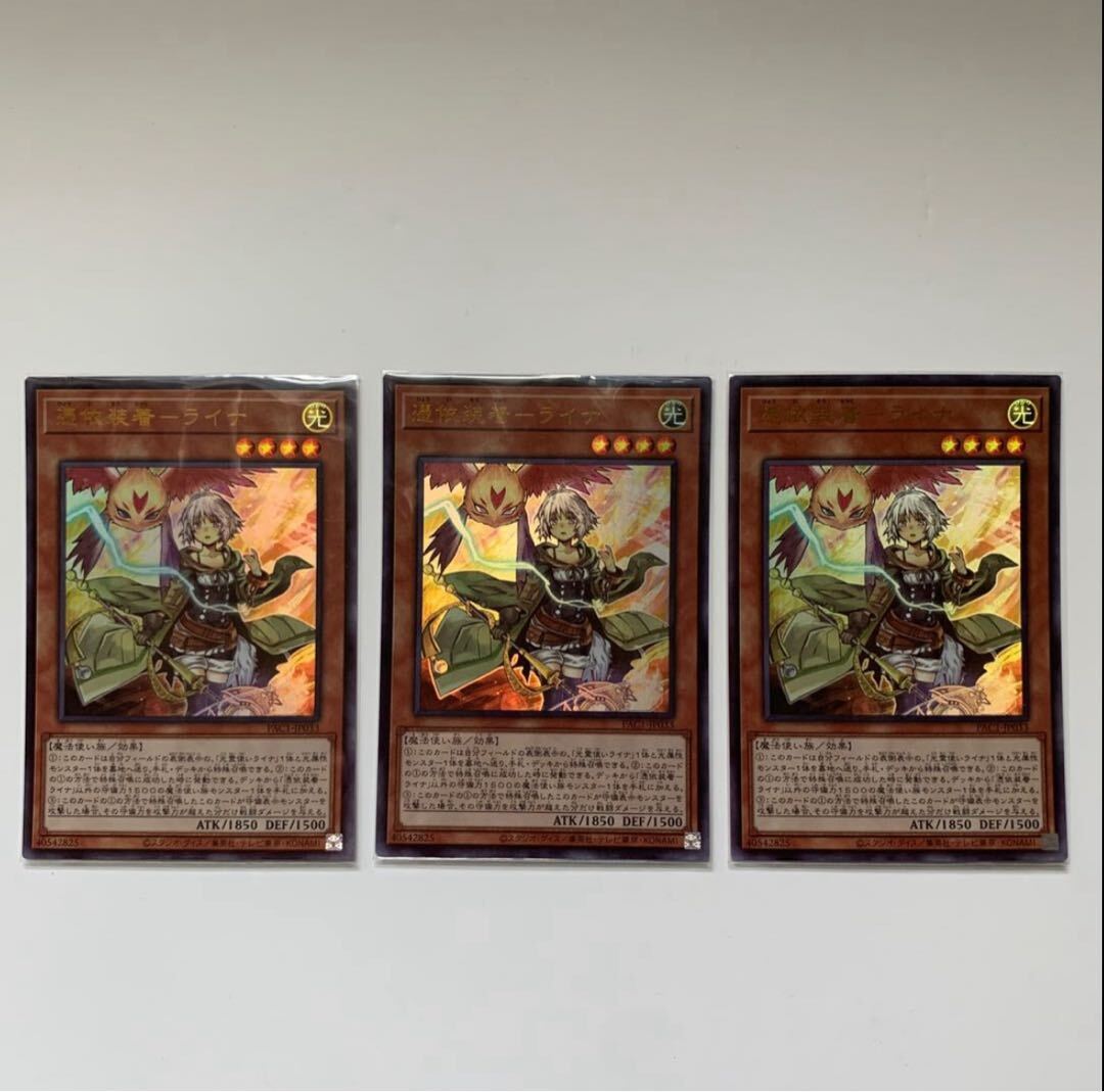 【BGS10】憑依装着-ライナ