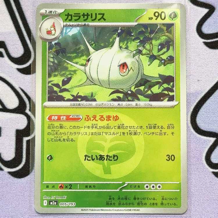 カラサリス(エネルギーマーク柄/ミラー仕様)