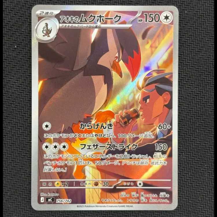 アオキのムクホーク(AR仕様)