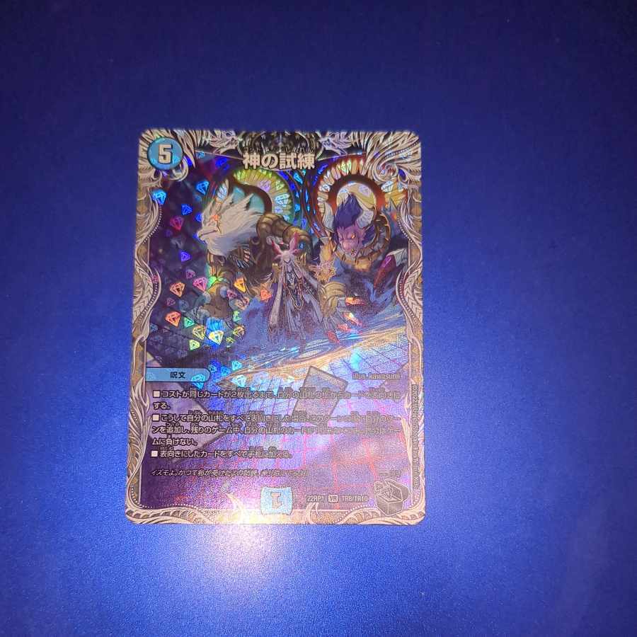 【PSA8】神の試練