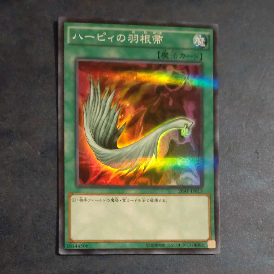 【BGS10】ハーピィの羽根帚