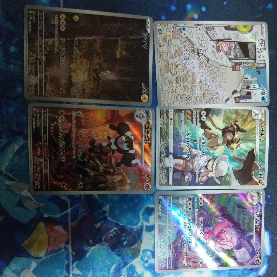 【BGS10】ナゲツケサル