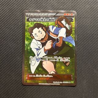 Professor Birch’s observations