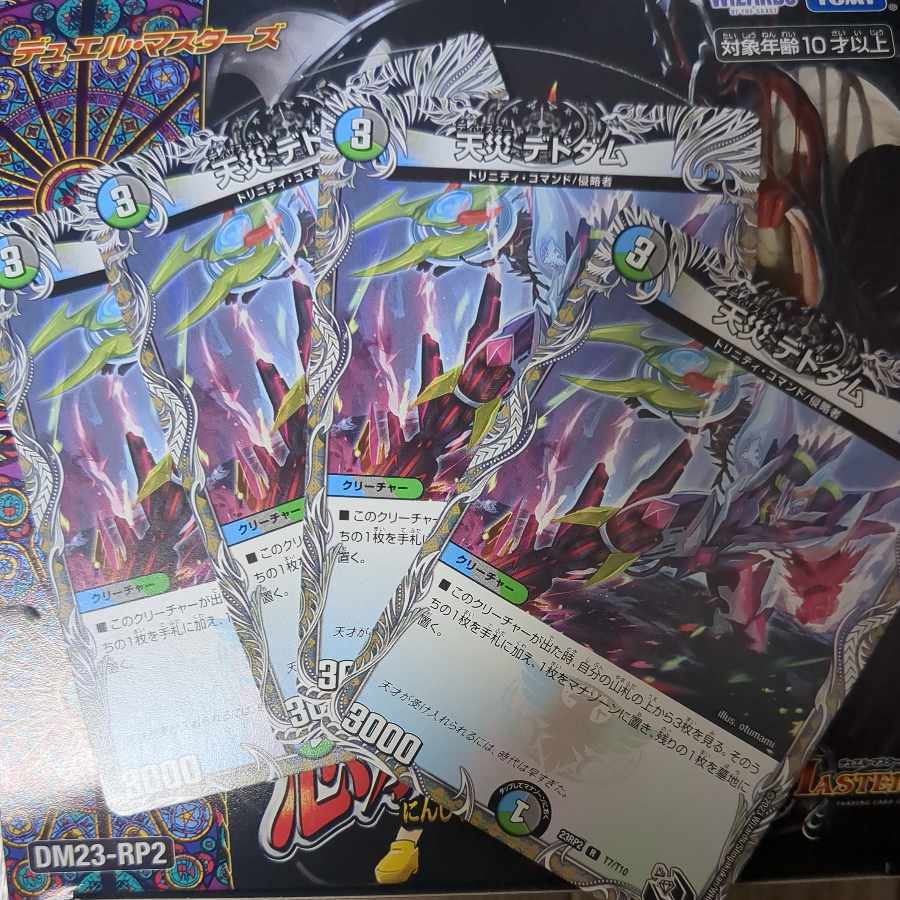 【BGS10】天災 デドダム