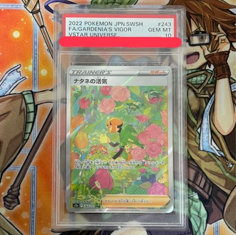 【PSA9】ナタネの活気