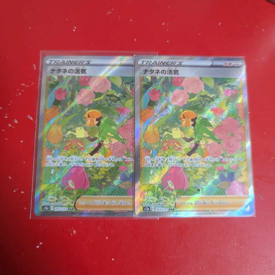 【BGS10】ナタネの活気