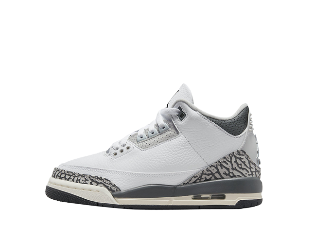ナイキ Gs エアジョーダン3 "アニマルアイコン" ホワイト/グレー