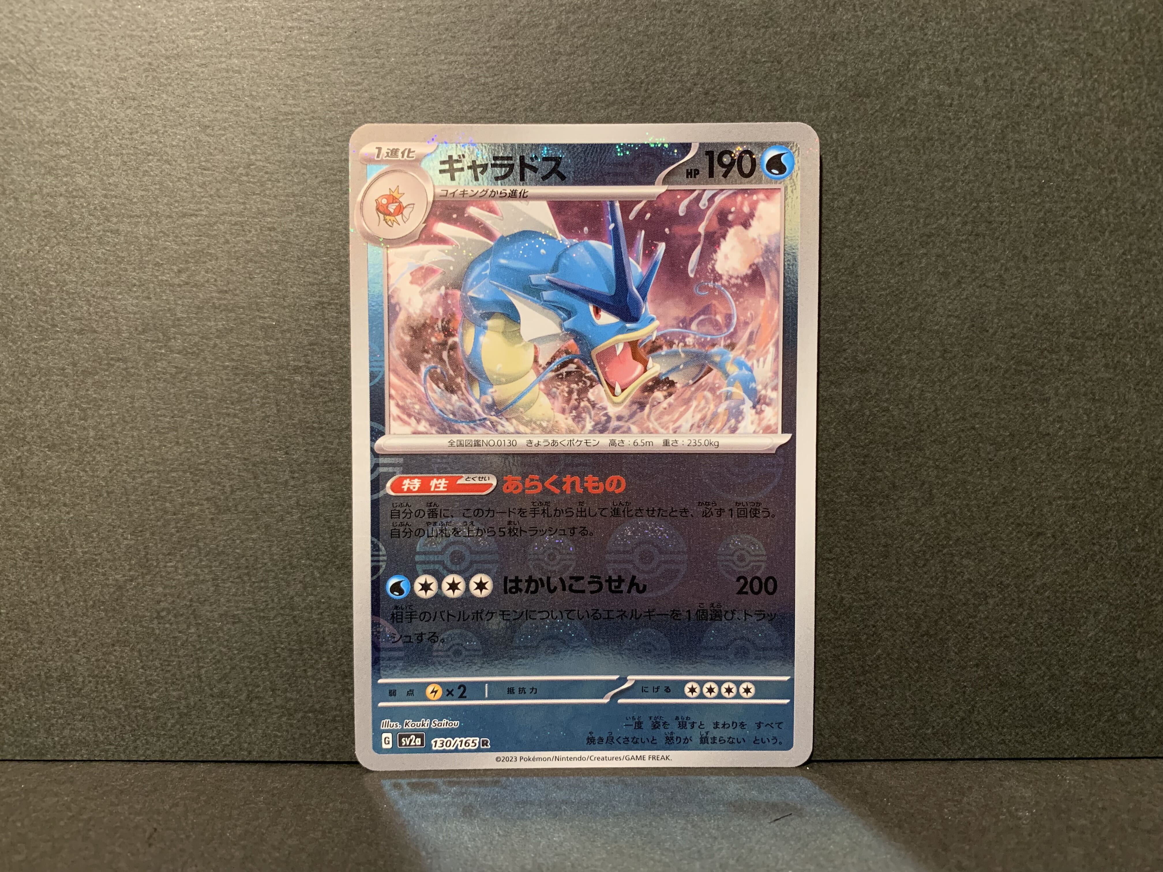 ギャラドス(モンスターボール柄/ミラー仕様)