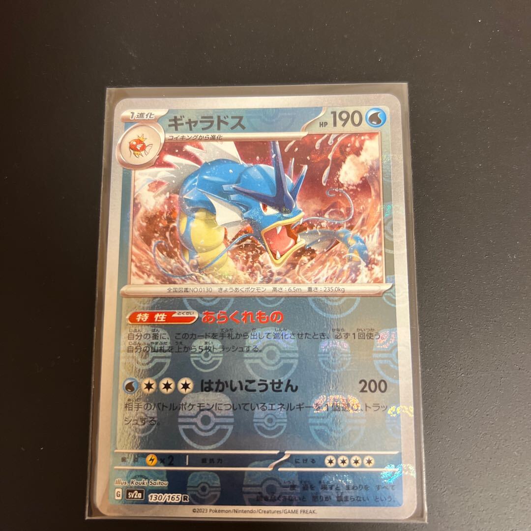 ギャラドス(マスターボール柄/ミラー仕様)