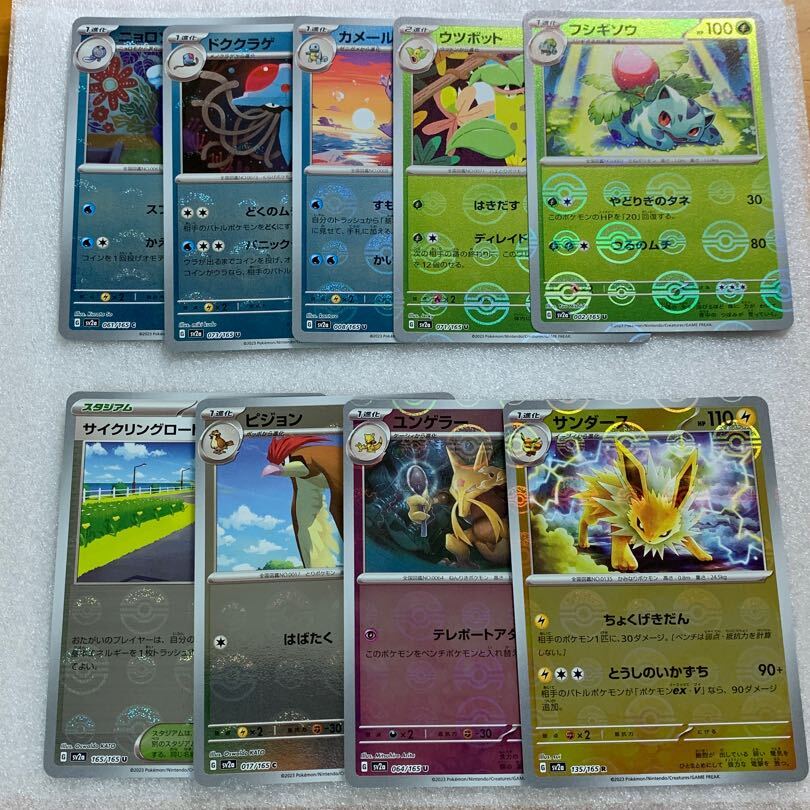 サンダース(モンスターボール柄/ミラー仕様)