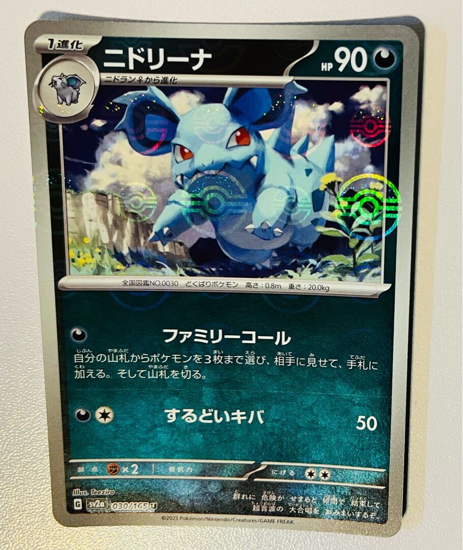 ニドリーナ(モンスターボール柄/ミラー仕様)