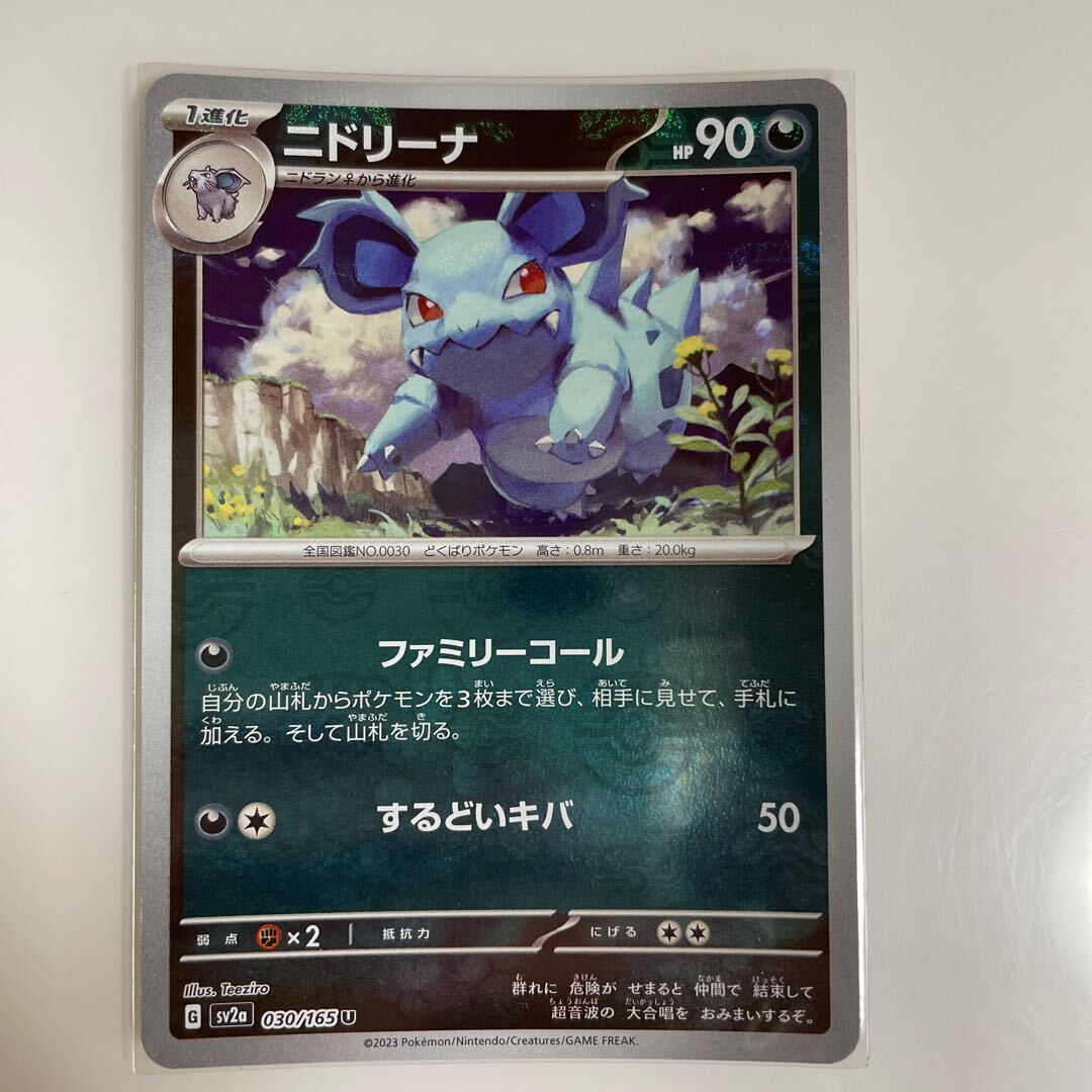 ニドリーナ(マスターボール柄/ミラー仕様)
