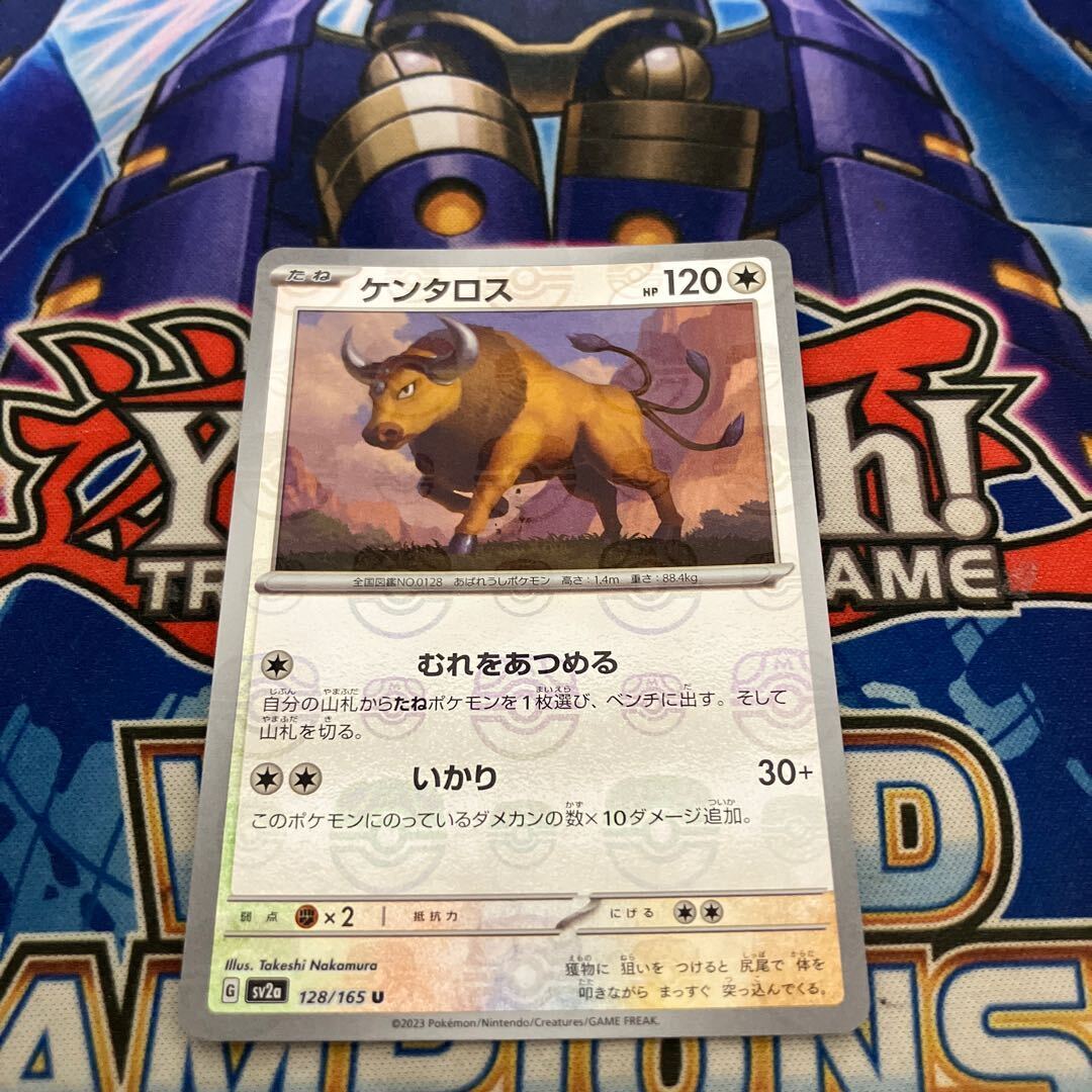 ケンタロス(マスターボール柄/ミラー仕様)