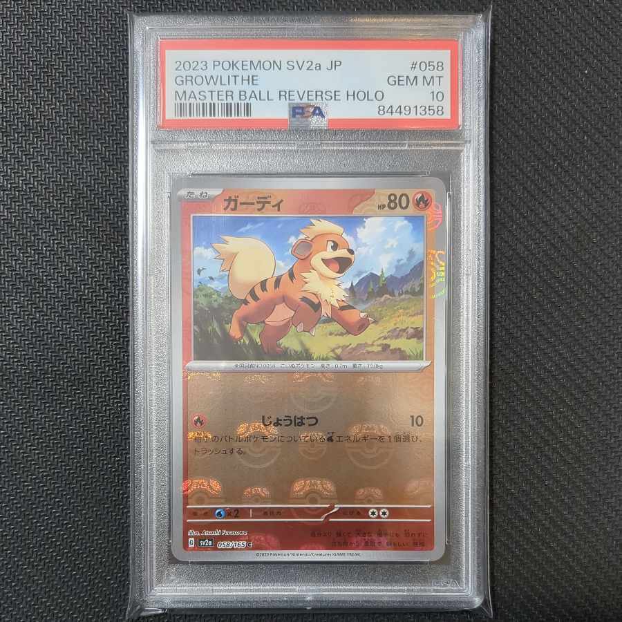 ガーディ(マスターボール柄/ミラー仕様)