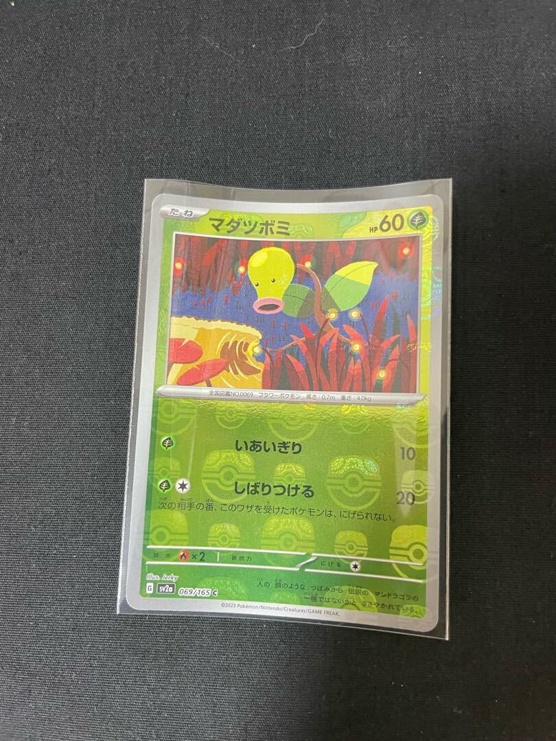 マダツボミ(マスターボール柄/ミラー仕様)