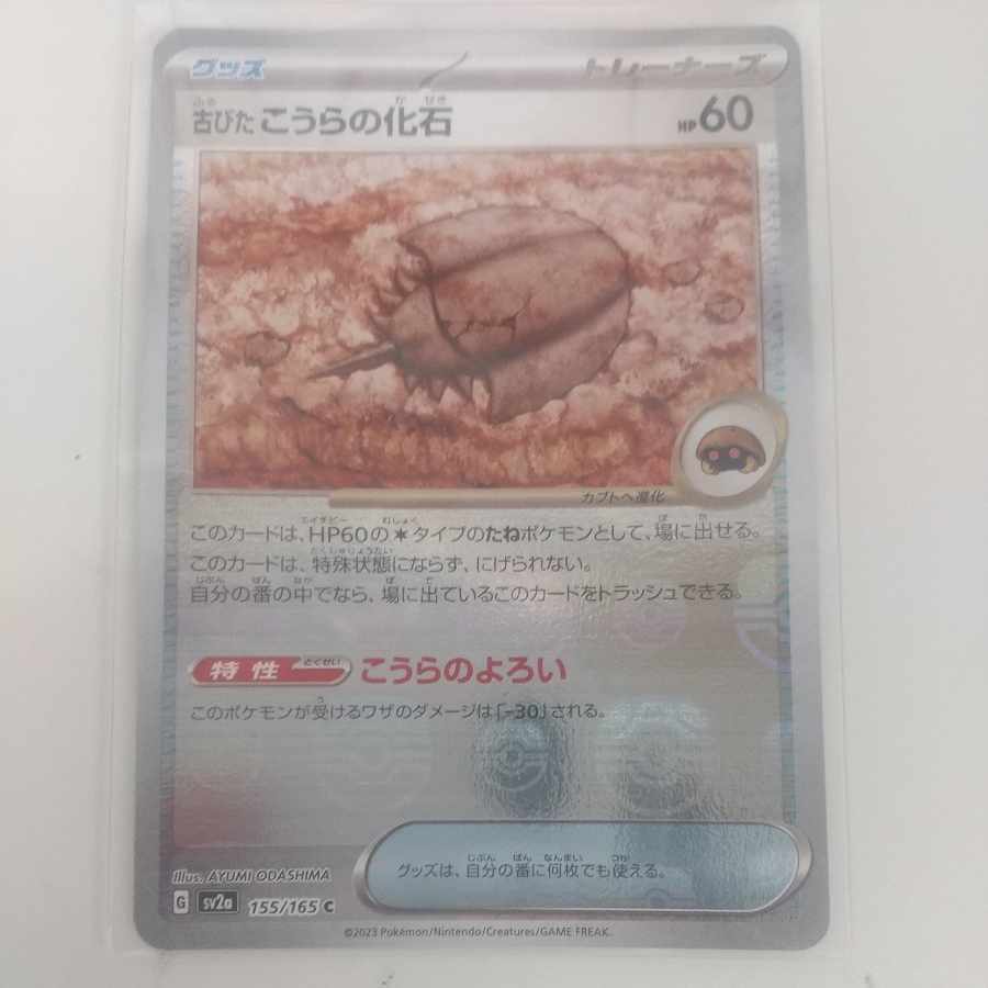 古びたこうらの化石(マスターボール柄/ミラー仕様)