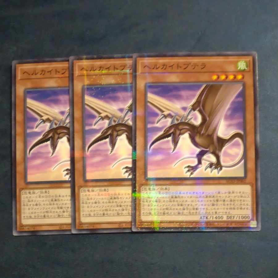 ヘルカイトプテラ