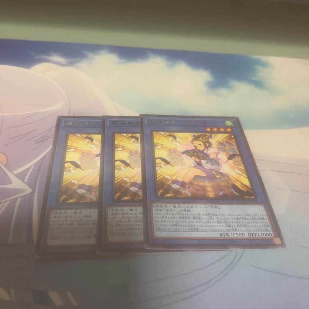 霊魂鳥影-姫孔雀