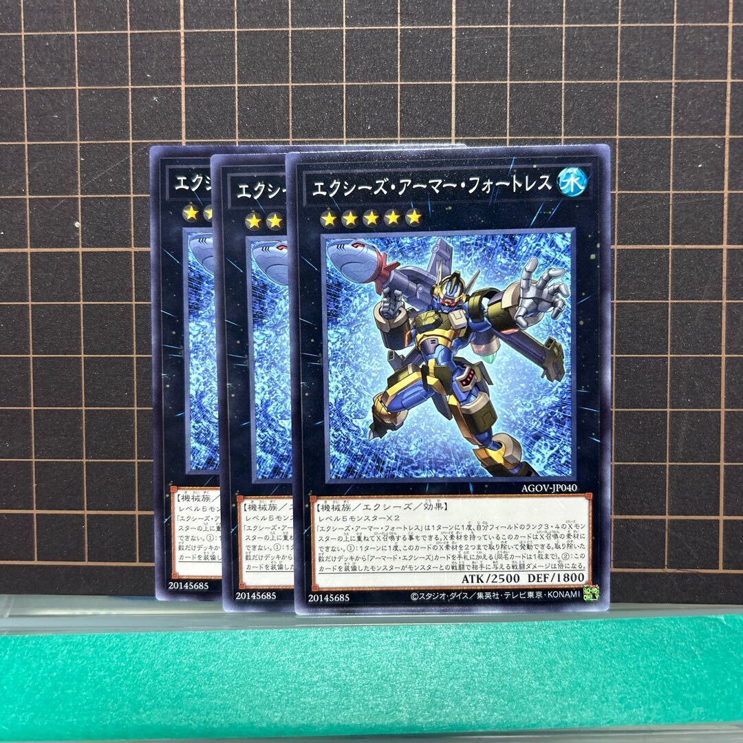 エクシーズ・アーマー・フォートレス