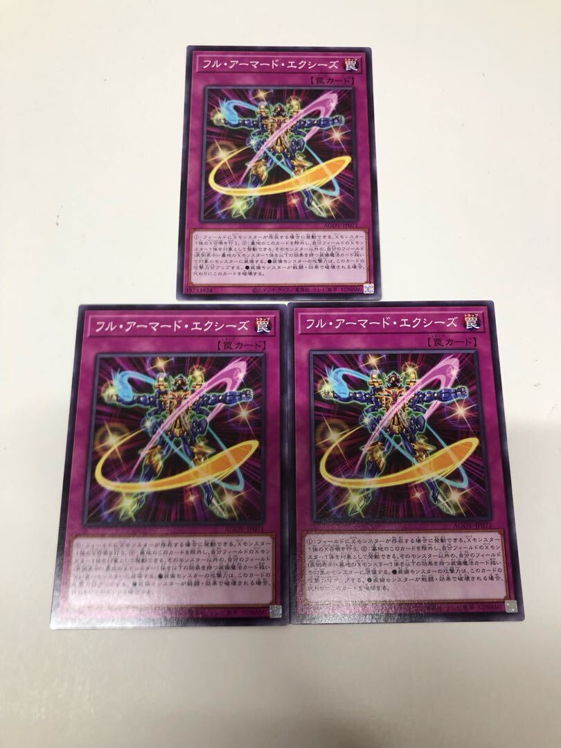 フル・アーマード・エクシーズ