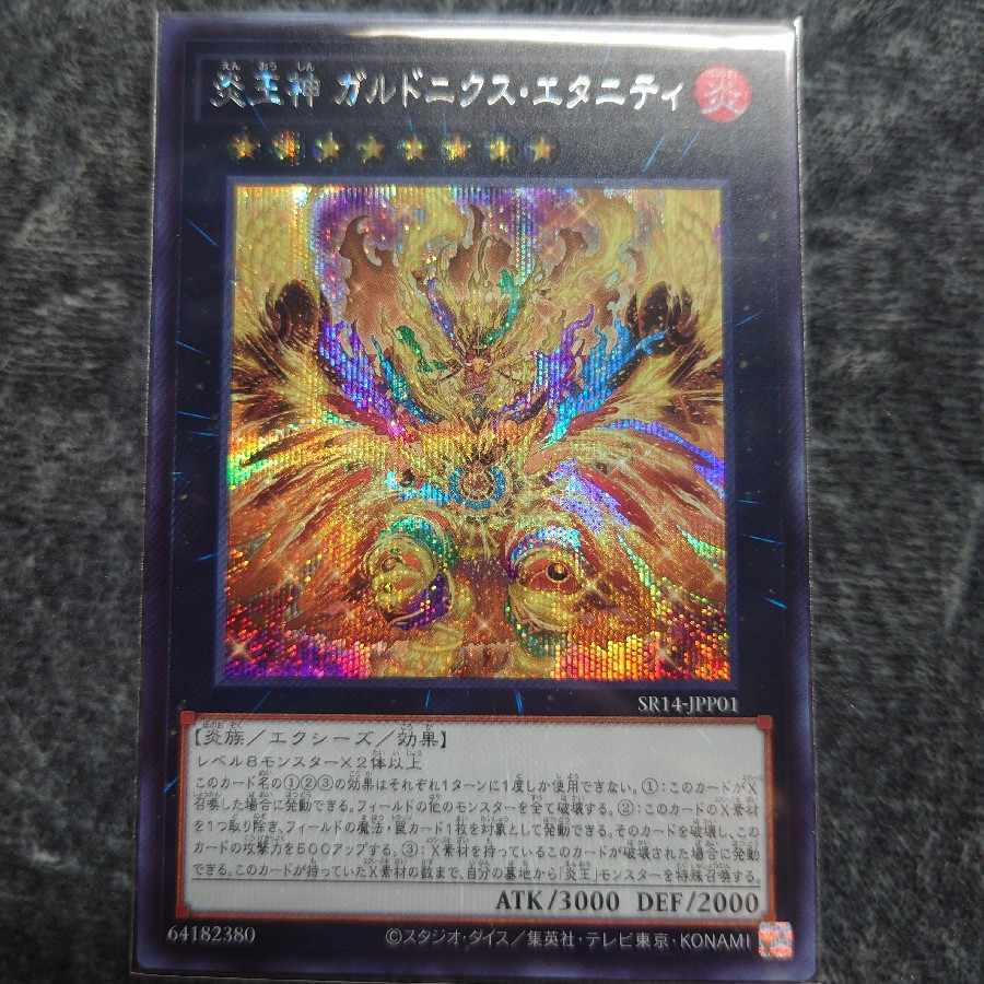 炎王神 ガルドニクス・エタニティ