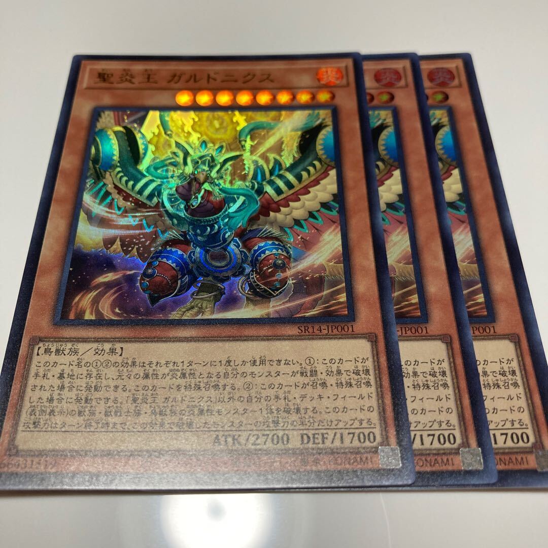 聖炎王 ガルドニクス