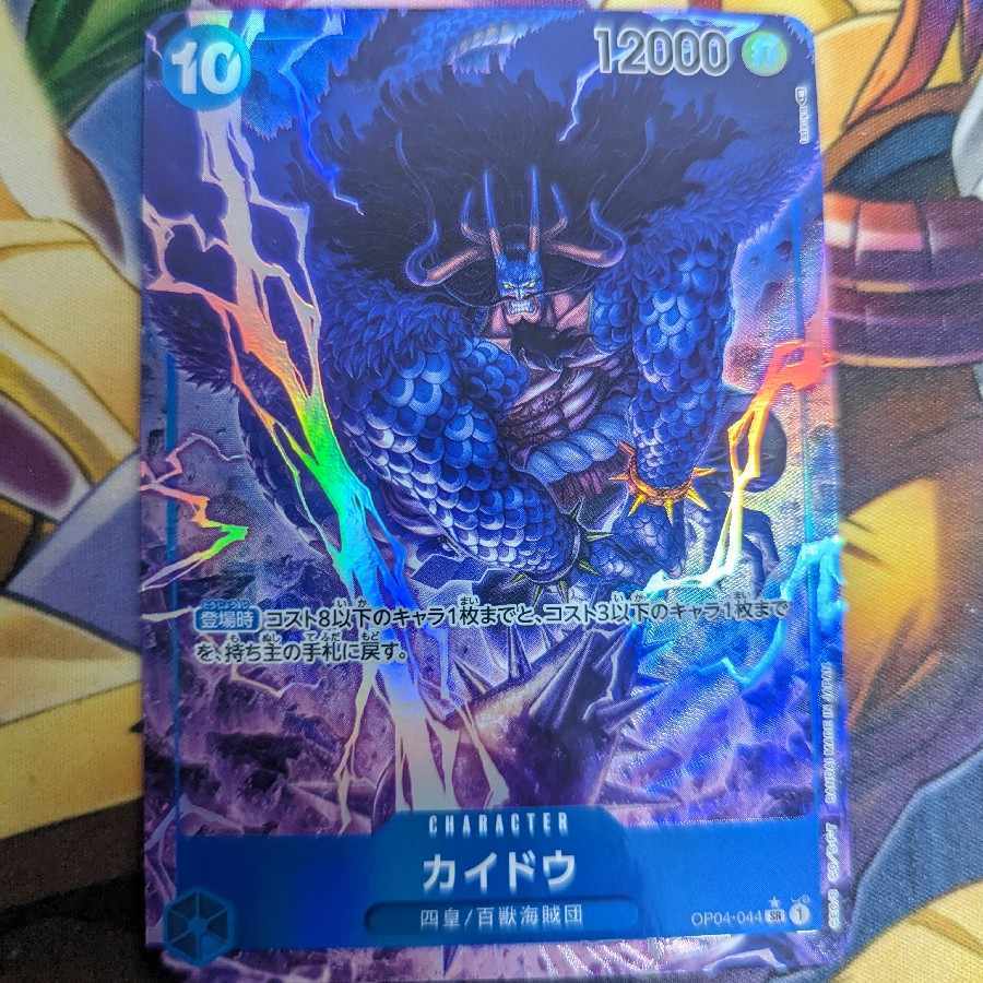 カイドウ(パラレル)