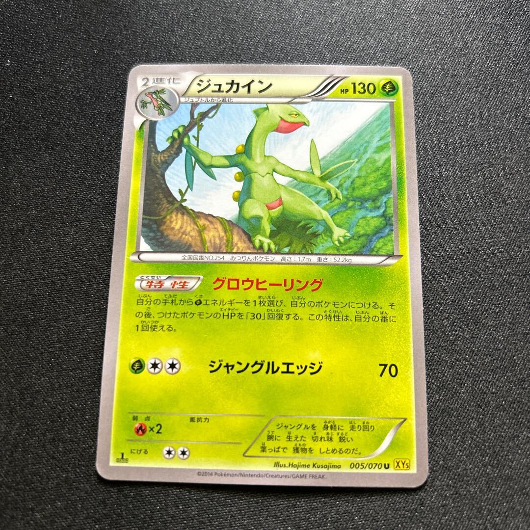 Sceptile