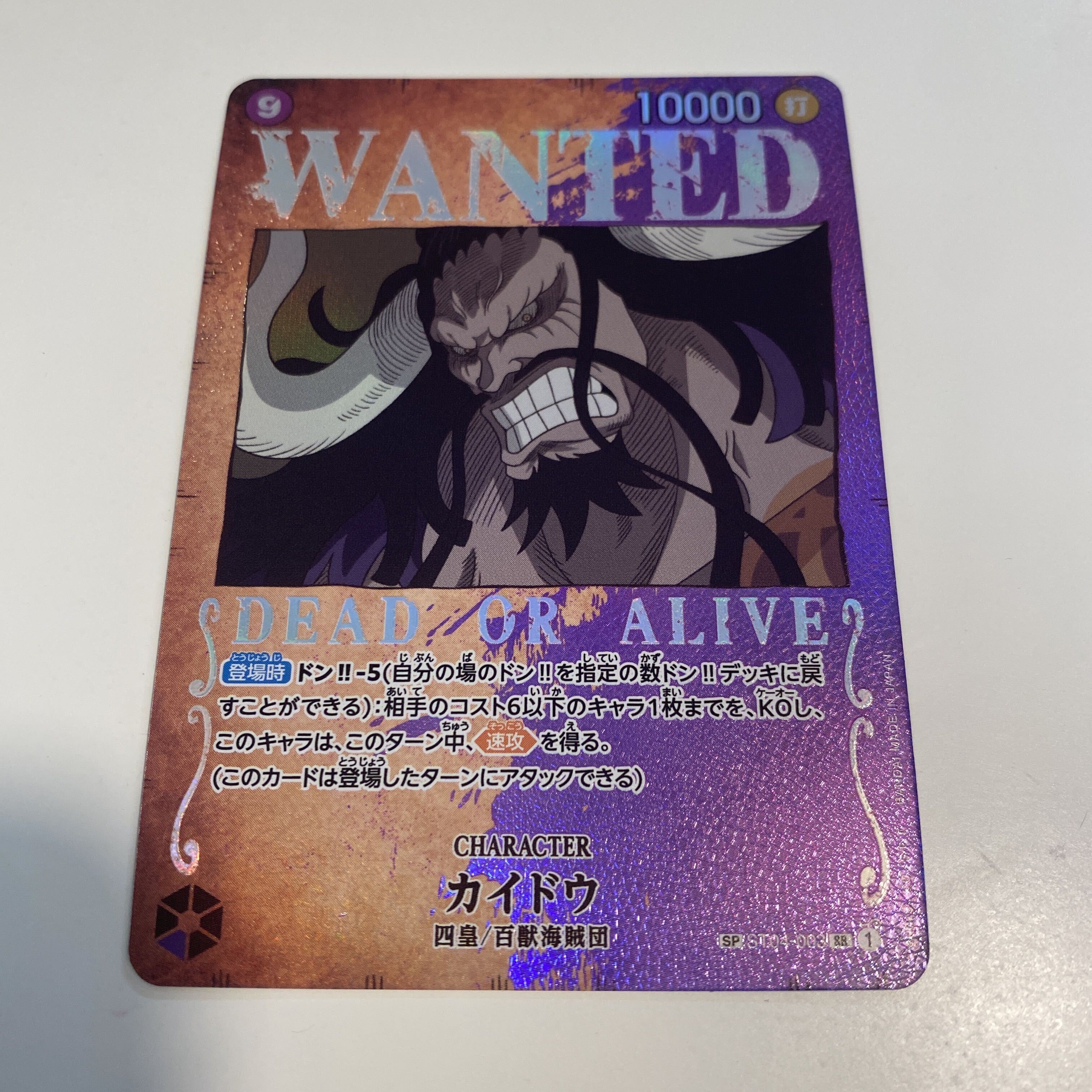 カイドウ(パラレル)