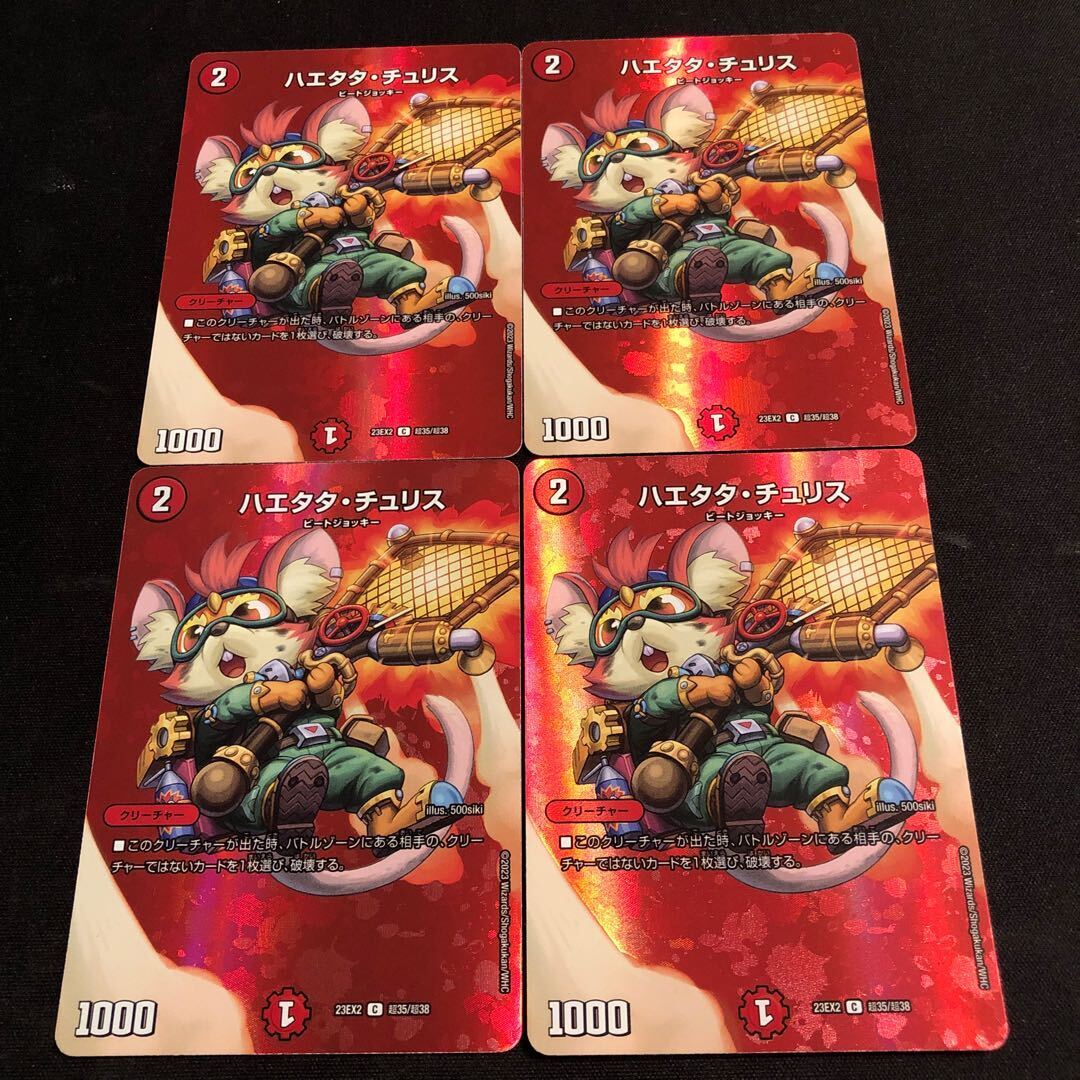 ハエタタ・チュリス