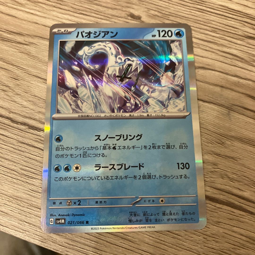 【BGS10】パオジアン