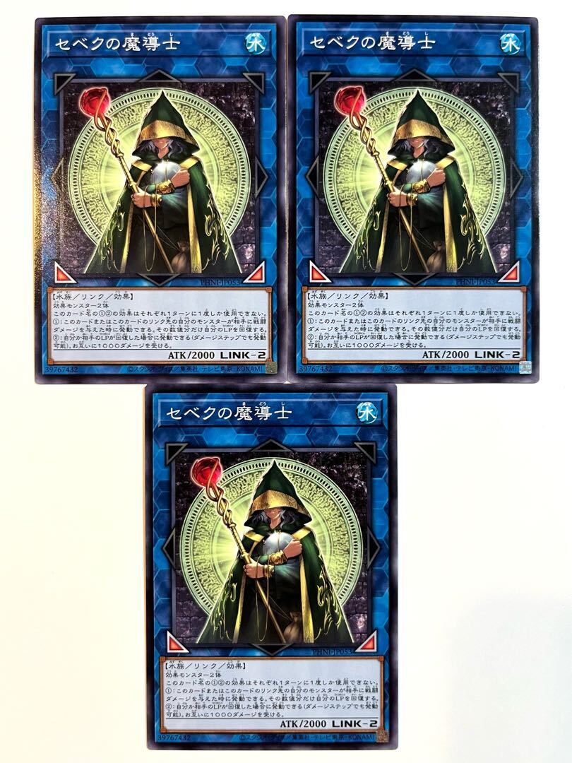 セベクの魔導士