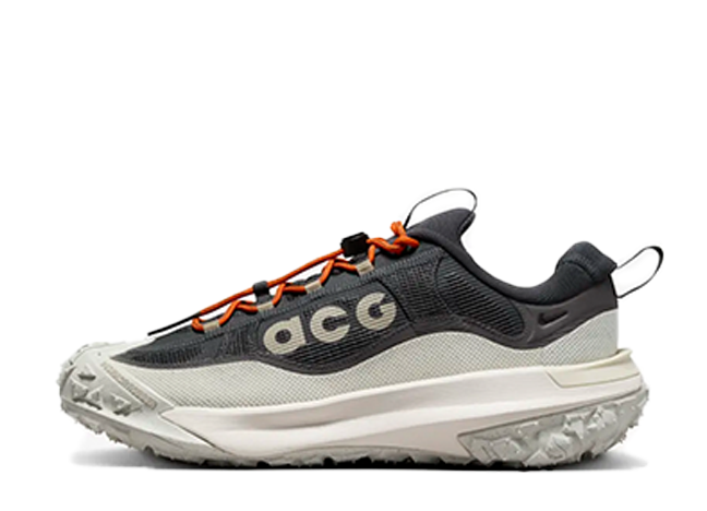 ナイキ ACG マウンテンフライ2 ロー ゴアテックス "ライトオールウッドブラウン/ミディアムアッシュ"