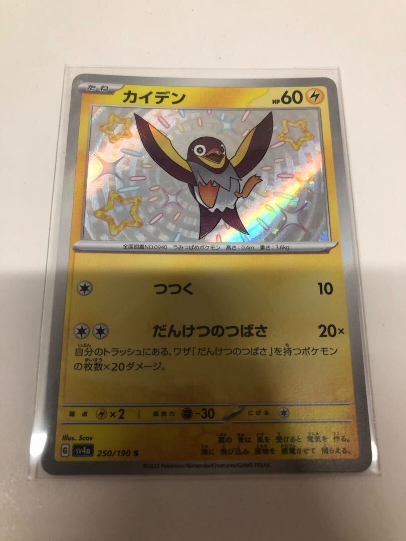 コドラ タルップル カイデン ar psa10 カイデン ポケカ」の人気商品一覧 | 安い商品を通販サイトから