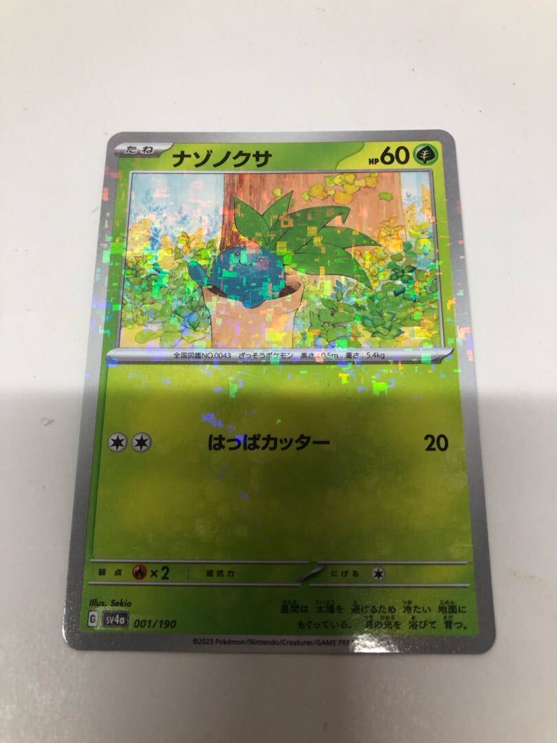 ナゾノクサ(キラ)