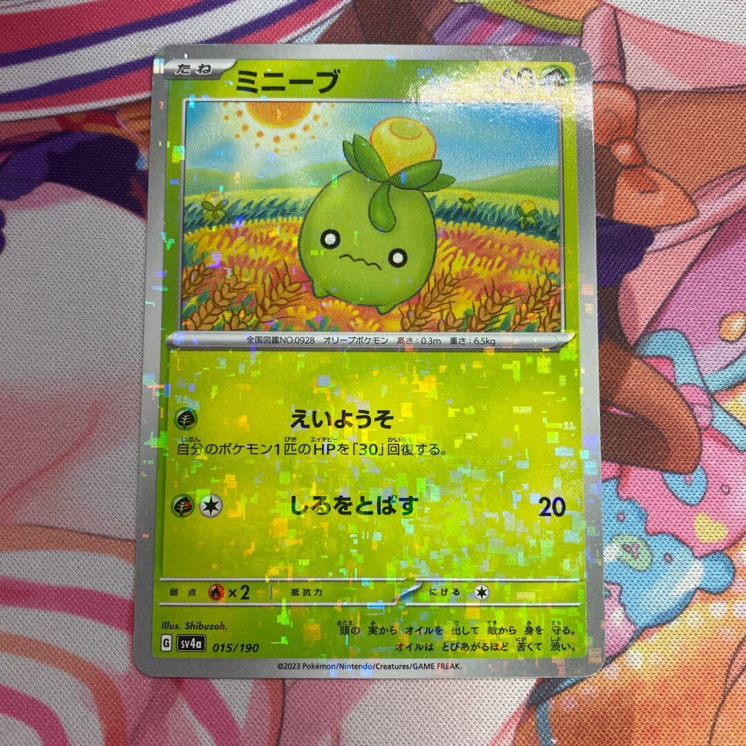 ミニーブ(キラ)