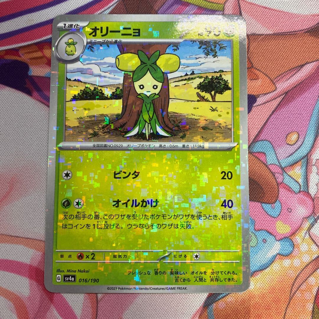 オリーニョ(キラ)