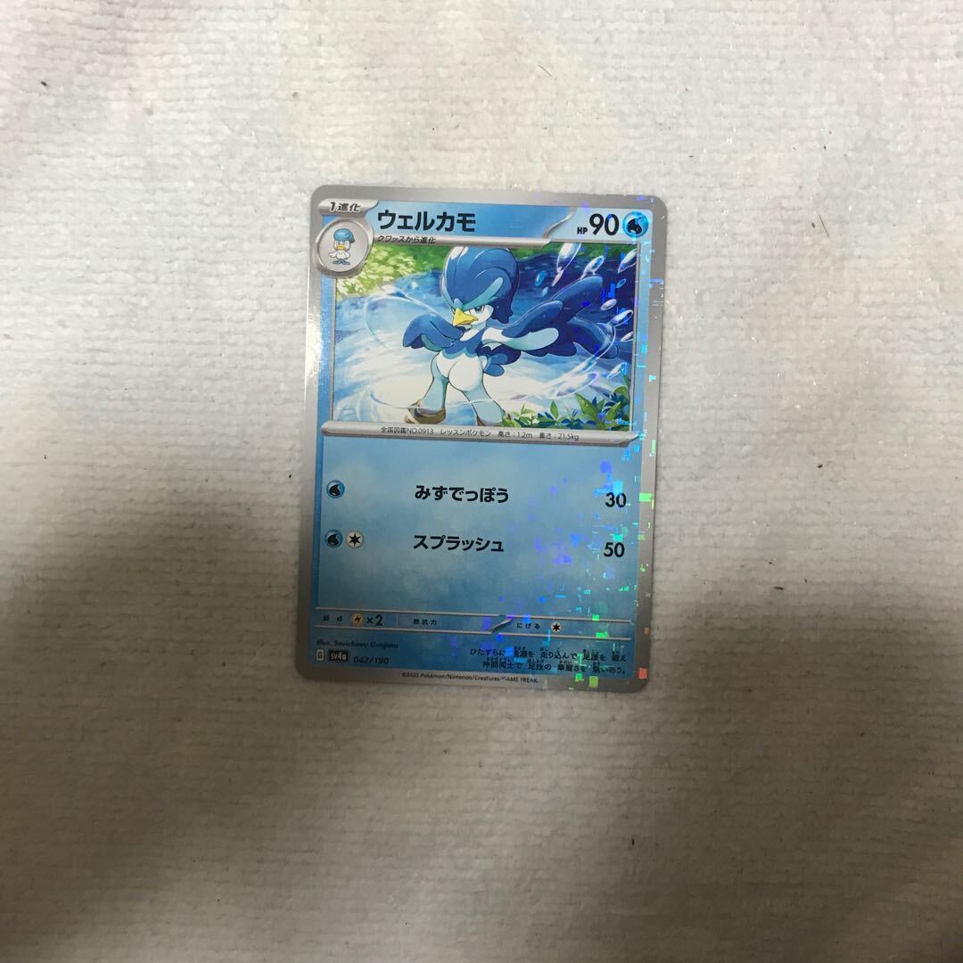 ウェルカモ(キラ)