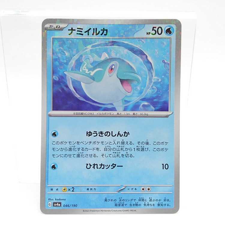 ナミイルカ(キラ)