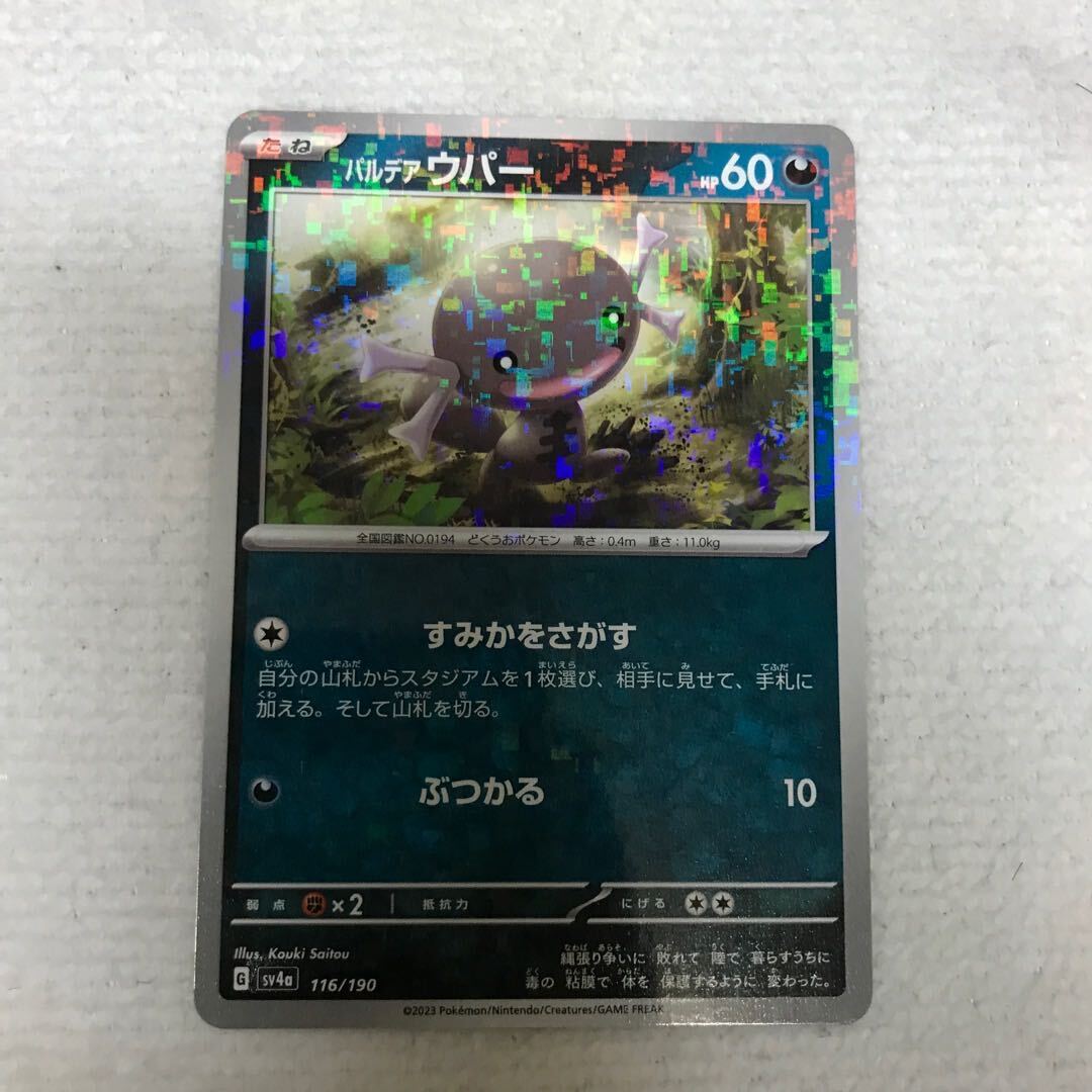 パルデアウパー(キラ)