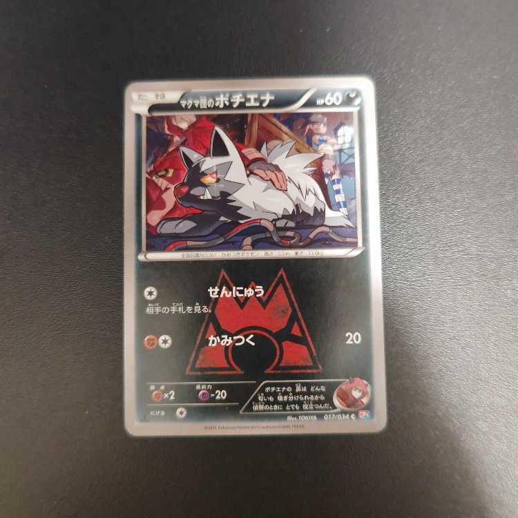 Magma団のPoochyena