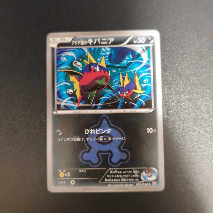 アクア団のキバニア