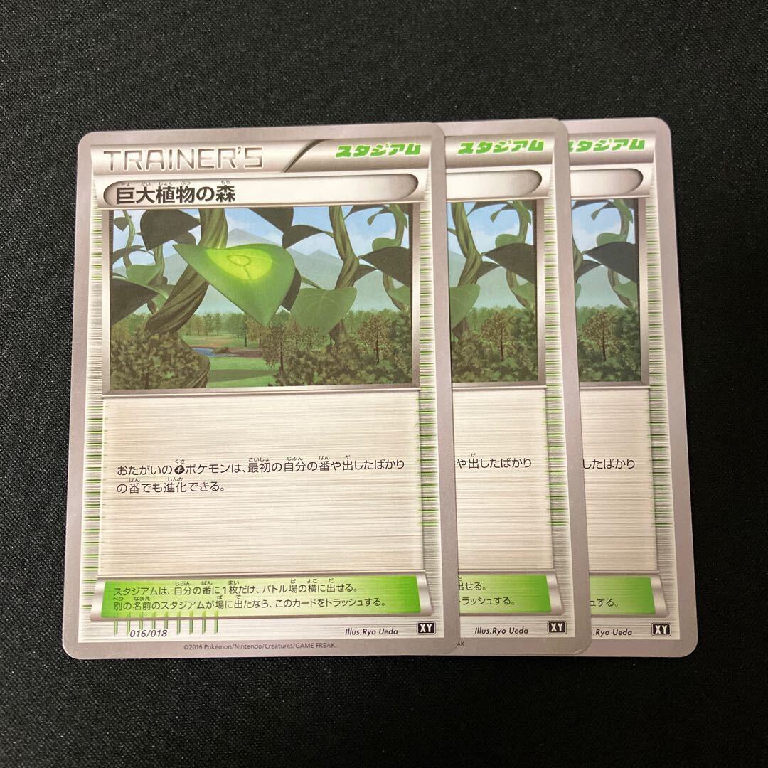 Forest of Giant Plants