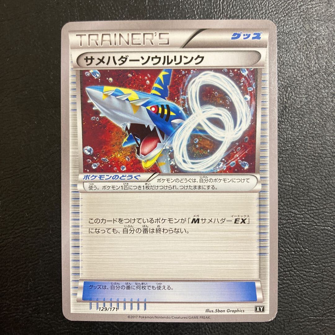 Sharpedoソウルリンク