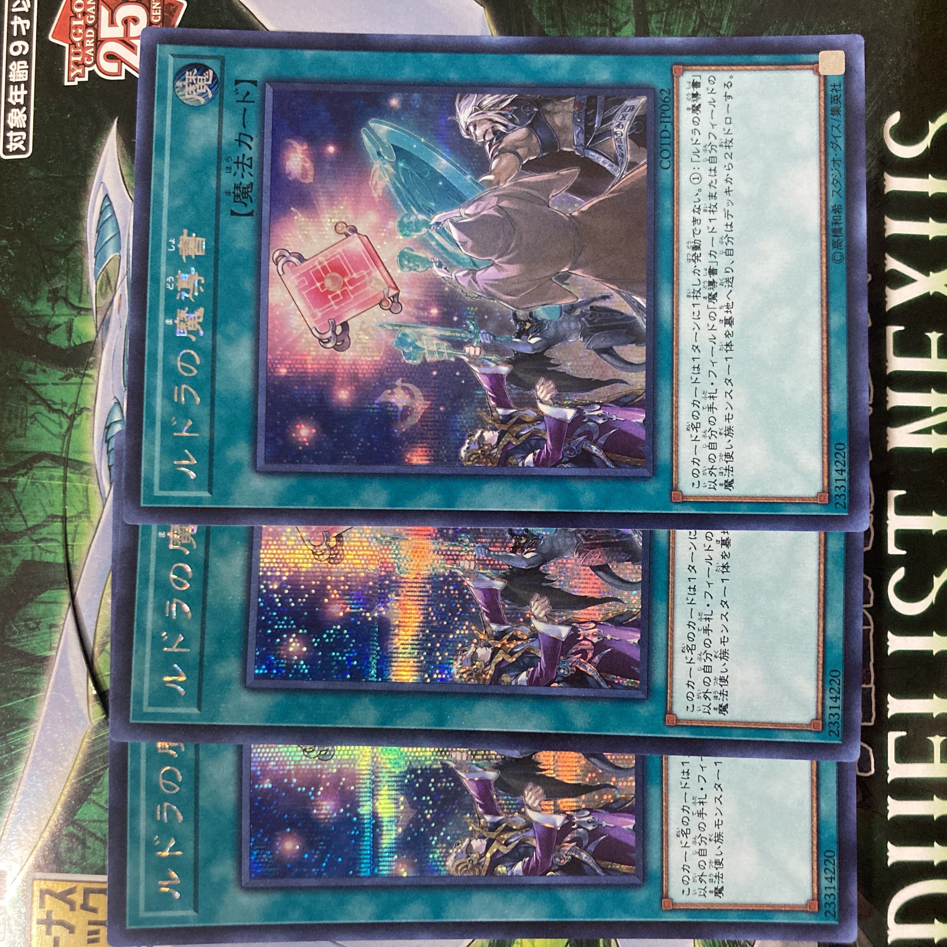 ルドラの魔導書